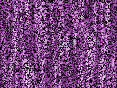 xm007424.gif