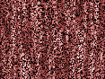 xm007420.gif