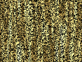 xm007419.gif