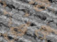 xm007418.gif