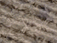xm007414.gif