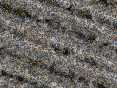 xm007413.gif