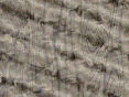 xm007412.gif
