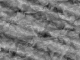 xm007410.gif