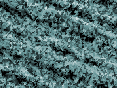 xm007398.gif