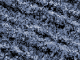 xm007396.gif