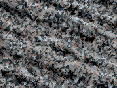 xm007395.gif