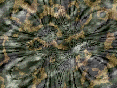 xm007392.gif