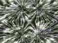 xm007388.gif