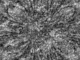 xm007380.gif