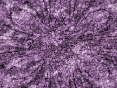 xm007379.gif