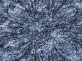 xm007378.gif