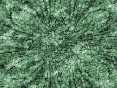 xm007376.gif