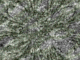 xm007373.gif