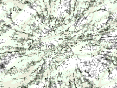 xm007372.gif