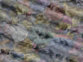xm007355.gif