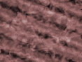 xm007349.gif