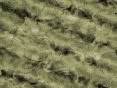 xm007348.gif
