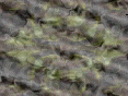 xm007343.gif