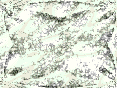 xm007342.gif