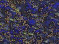 xm008281.gif
