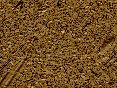 xm008279.gif