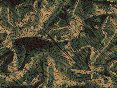 xm008277.gif