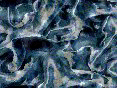 xm008276.gif