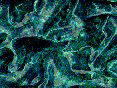 xm008273.gif
