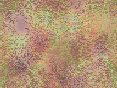 xm008271.gif