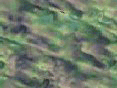 xm008270.gif