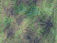 xm008267.gif