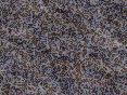 xm008260.gif