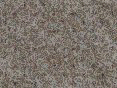 xm008259.gif