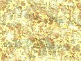 xm008258.gif