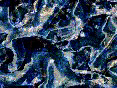 xm008256.gif