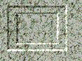 xm008235.gif