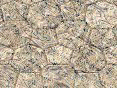 xm008230.gif