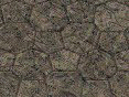 xm008229.gif