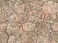 xm008227.gif
