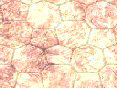 xm008224.gif