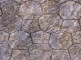 xm008223.gif