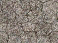 xm008222.gif