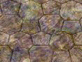 xm008221.gif
