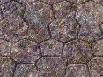 xm008220.gif