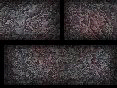 xm008219.gif