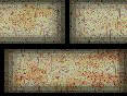 xm008217.gif