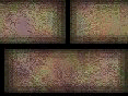xm008213.gif