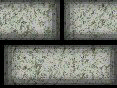 xm008208.gif