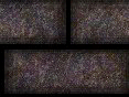 xm008205.gif